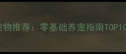 最省钱的小型宠物推荐零基础养宠指南TOP10及饲养全攻略