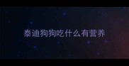 泰迪狗狗吃什么有营养