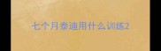 七个月泰迪用什么训练