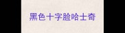 黑色十字脸哈士奇