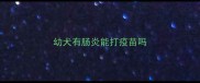 幼犬有肠炎能打疫苗吗