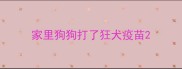 家里狗狗打了狂犬疫苗
