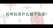 拉布拉多什么链子合适