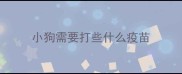 小狗需要打些什么疫苗