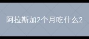 阿拉斯加2个月吃什么