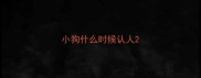 小狗什么时候认人