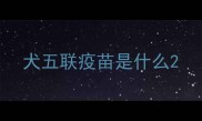 犬五联疫苗是什么