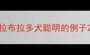 拉布拉多犬聪明的例子