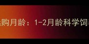 哈士奇幼犬最佳选购月龄1-2月龄科学饲养指南与注意事项