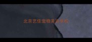 北京艺佳宠物美容学校