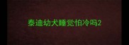 泰迪幼犬睡觉怕冷吗