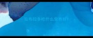 拉布拉多吃什么营养好