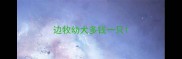 边牧幼犬多钱一只