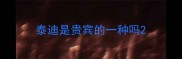 泰迪是贵宾的一种吗