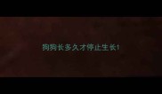 狗狗长多久才停止生长