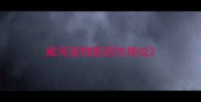 威海宠物医院的地址