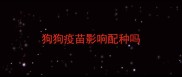 狗狗疫苗影响配种吗