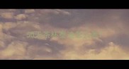 50天茶杯泰迪怎么养