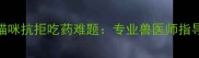 5种科学喂药法破解猫咪抗拒吃药难题专业兽医师指导的苦药喂食全攻略