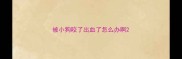 被小狗咬了出血了怎么办啊