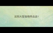 沈阳大型宠物用品店