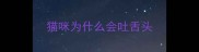 猫咪为什么会吐舌头