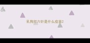 乳狗打六针是什么疫苗