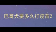 巴哥犬要多久打疫苗