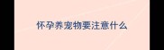 怀孕养宠物要注意什么