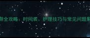 拉布拉多换牙期全攻略时间表护理技巧与常见问题解答附视频