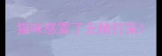 猫咪感冒了无精打采