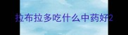 拉布拉多吃什么中药好