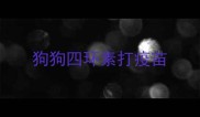 狗狗四环素打疫苗