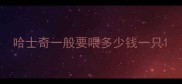 哈士奇一般要喂多少钱一只