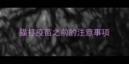 猫打疫苗之前的注意事项