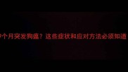 边牧幼犬9个月突发狗瘟这些症状和应对方法必须知道