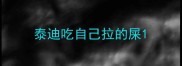 泰迪吃自己拉的屎
