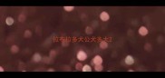 拉布拉多犬公犬多大