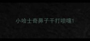 小哈士奇鼻子干打喷嚏
