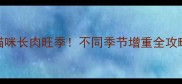 猫咪长肉旺季不同季节增重全攻略