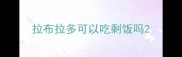 拉布拉多可以吃剩饭吗