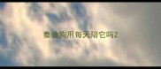 泰迪狗用每天陪它吗