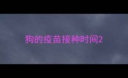 狗的疫苗接种时间