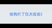 给狗打了狂犬疫苗