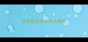 拉布拉多幼犬在么喂胖
