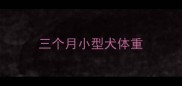 三个月小型犬体重