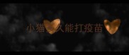 小猫多久能打疫苗
