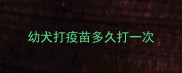 幼犬打疫苗多久打一次