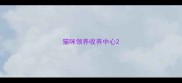 猫咪领养收养中心