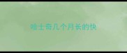 哈士奇几个月长的快